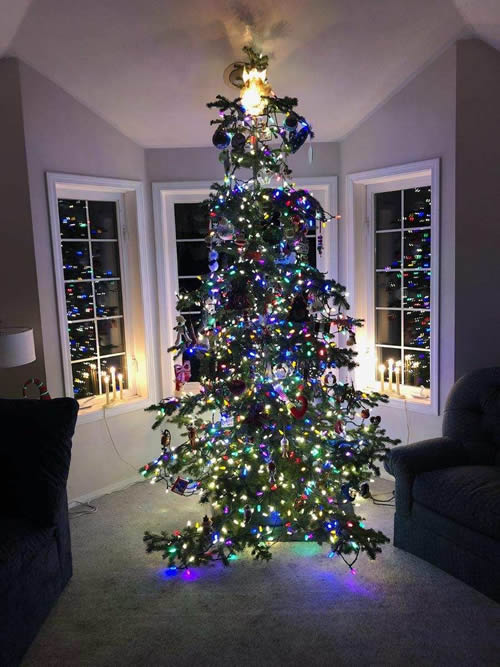 Christmas Trees for sale - Spokane Valley