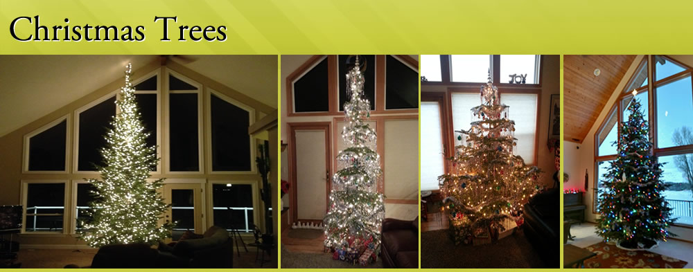 Christams Trees for sale - Spokane Valley